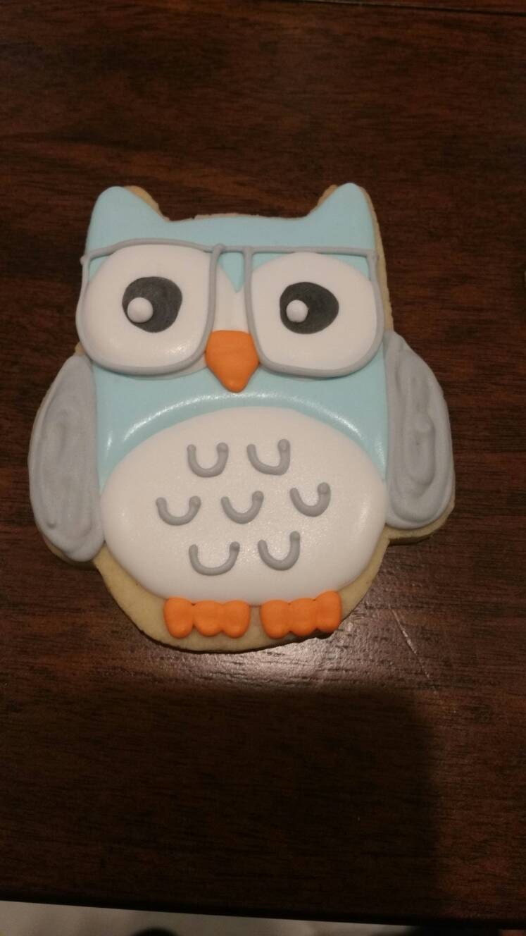 Owl cookies One Dozen (12) - Ladybug bake shop