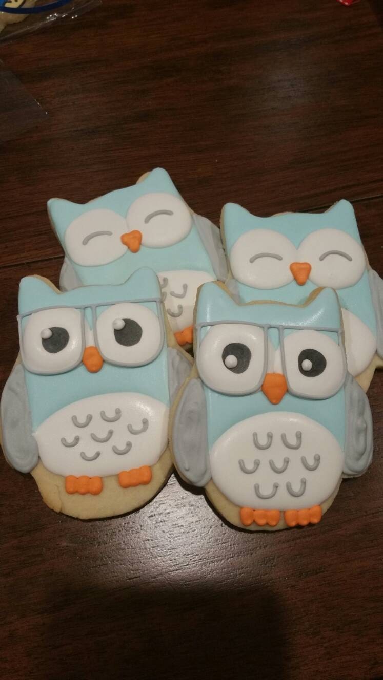 Owl cookies One Dozen (12) - Ladybug bake shop