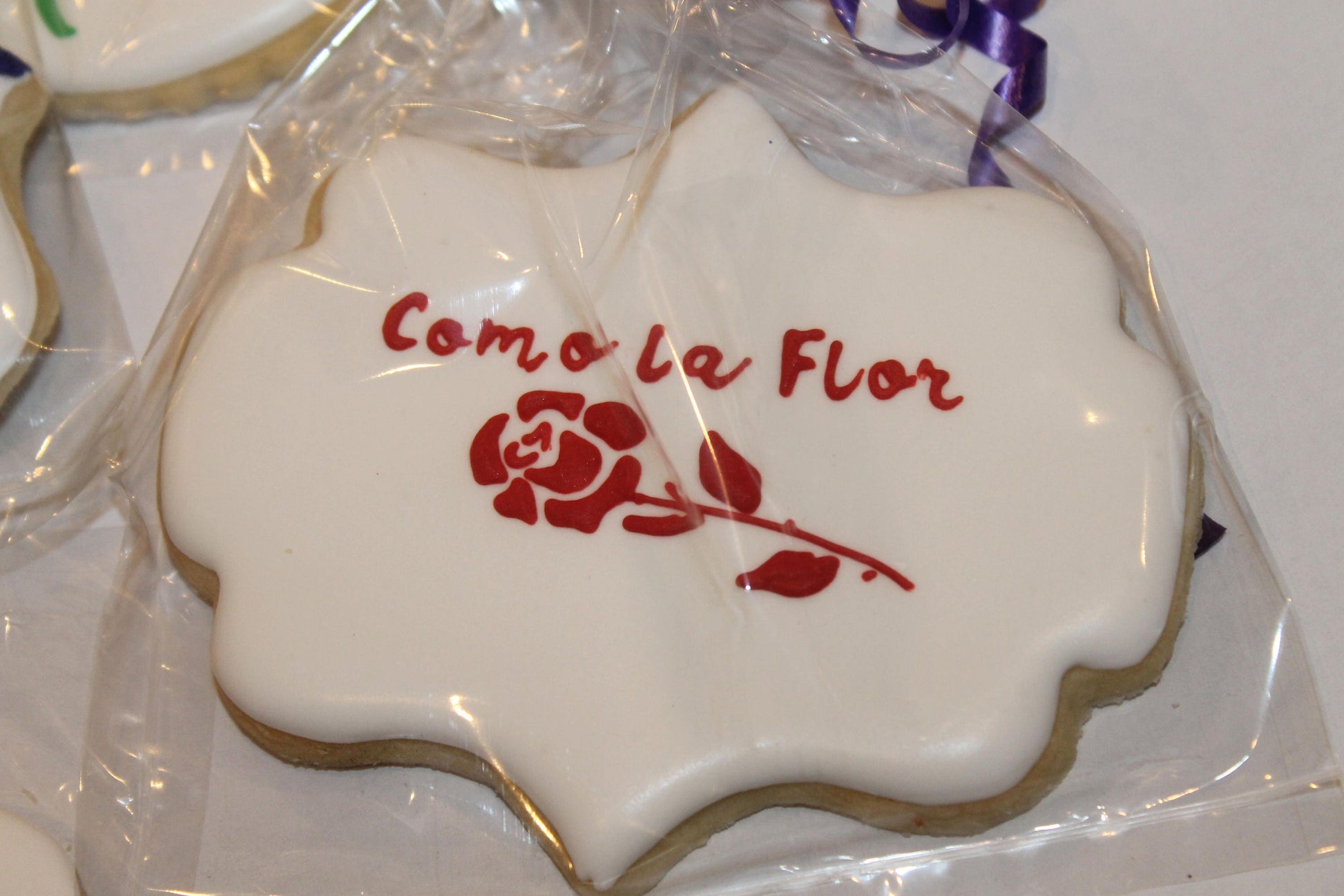 Selena cookies One Dozen (12) - Ladybug bake shop