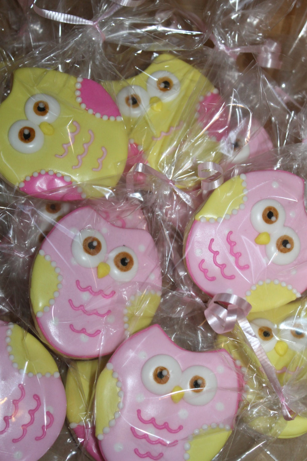 Owl cookies  One Dozen (12) - Ladybug bake shop